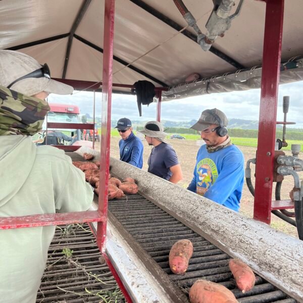 Uz otru pasaules malu bez jebkāda plāna?