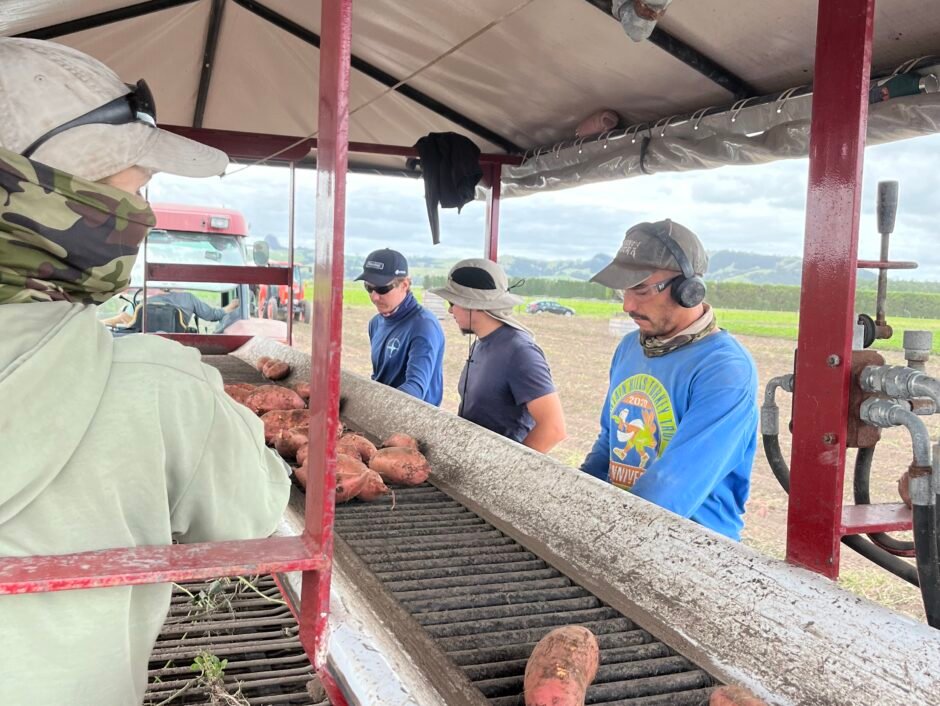Uz otru pasaules malu bez jebkāda plāna?